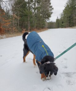 Kurgo Loft Dog Jacket, Reversible Dog Coat, Wear with Harness or Sweater, Water Resistant, Reflective, Winter Coat For Large Dogs (Ink Blue, L) Ink Blue/Seaglass 31 81LeBX0SL