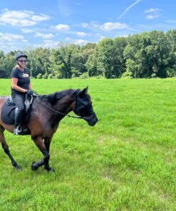 Cashel Quiet Ride Horse Fly Mask with Long Nose and Ears, Black, Horse 13 81Lj6JZI3L
