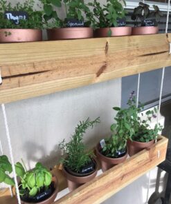 Prudance® 50pcs T Tag Plant Markers - Premium Nursery Garden Labels - Black 35 81LjB0WfxJL