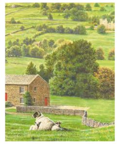 Yorkshire Decaffeinated Tea, 80 Teabags 11 81LnYowsv3L