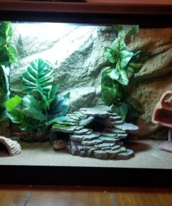 Exo Terra Background, 12-Inch by 12-Inch 12 x 12 Inches 10 81LoMc7FUbL