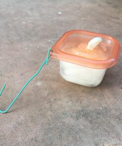 Essentially KateS Peppermint Essential Oil 4 Fl. Oz - Mentha Piperita - 100% Pure Natural and Therapeutic Grade - Diffuser, Skin, Hair, Aromatherapy, Garden and Kitchen Spray 32 81Lq5xmkQ4L