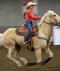 Tamron SP 70-200MM F/2.8 DI VC USD Telephoto Zoom Lens for Nikon (FX) Cameras Nikon FX Cameras 49 81Lr4Gw1wYL