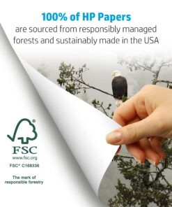 HP Printer Paper | 8.5 x 11 Paper | Copy &Print 20 lb | 1 Pallet - 40 Case - 200,000 Sheets | 92 Bright | Made in USA - FSC Certified | 200060P Pallet | 200K Sheets | 10 Pack case | 40 cases Standard Size (8.5x11) 19 81LrtRLVhdL 5