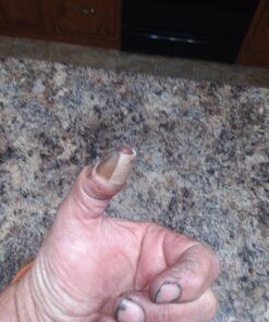 Schrade Boneyard Fixed Blade with 8Cr13MoV Grey Ti Coat for Outdoor Survival 22 81LzCq1r50L