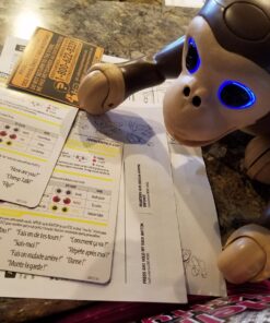 Zoomer - Chimp Standard Packaging 45 81M 5qESv5L