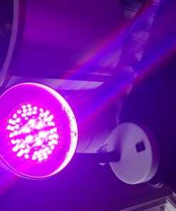 Simple Designs LD1003-WHT Basic Metal Flexible Hose Neck Desk Lamp, White 6.1 x 4.9 x 13.85 1 37 81M3u1YRmHL