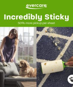 Evercare Pet Hair Extra Sticky Lint Roller with 2 Refills 180 Total Sheets, Green 1-Pack with 2 Refills (180 Sheets) 12 81M4Hmrw1L