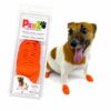 PawZ Rubber Dog Boots for Paws up to 2", 12 Pack - All-Weather Dog Booties for Hot Pavement, Snow, Mud, and Rain - Waterproof, Anti Slip Dog Socks - X-Small, Orange