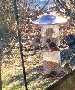 Perky-Pet 325C 2-Tier Copper Panorama Bird Feeder 2 Tier 16 81M4TCMao8L