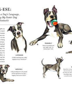 Do Unto Animals: A Friendly Guide to How Animals Live, and How We Can Make Their Lives Better 17 81M81RMClhL