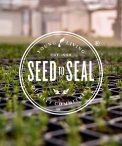 Young Living Peppermint Essential Oil 5ml - Invigorating Mint Aroma - Cooling Sensation - Adds a Fresh, Minty Flavor to Foods - Can be Diffused at Work, Study, and After a Workout 0.17 Fl Oz (Pack of 1) 14 81M9YU9x0gL 3