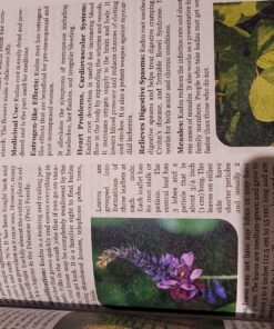 The Lost Book of Herbal Remedies 37 81MH2JGFQQL