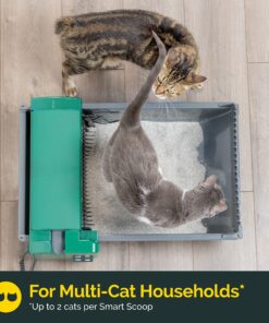 Pet Zone Semi Automatic Cat Litter Box Self Cleaning - Smart Scoop Cat Litter Box with Bags & Carbon Filter for Up to Two Cats 6-16 Pounds Smart Scoop Litter Box 28 81MKVv3Ou8L