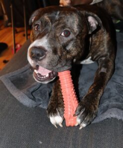 Nylabone Power Chew Dog Toy - Dog Toys for Aggressive Chewers - Indestructible Dog Toys for Aggressive Chewers Large Breed - For Extra Large Dogs - Bacon Flavor X-Large/Souper (1 Count) X-Large/Souper - 50+ lbs. 37 81MKZNBPMoL