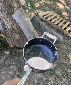 2funguys Shiitake Plug Spawn Starter Kit - Grown Your Own Mushrooms 27 81MVOaA81rL