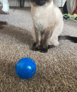 PetSafe SlimCat Meal-Dispensing Cat Toy, Great for Food or Treats, Blue, for All Breed Sizes 23 81MWWBO1icL