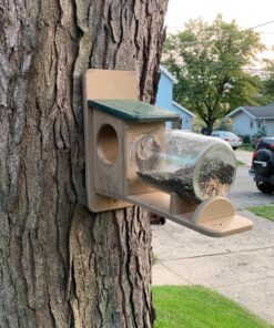 Birds Choice SNSQJAR Recycled Squirrel Jar Feeder, Squirrel Feeders, 7-1/4"L X 19"W X 15-3/4"H, Taupe w/ Green Roof 45 81MZDkEQZL