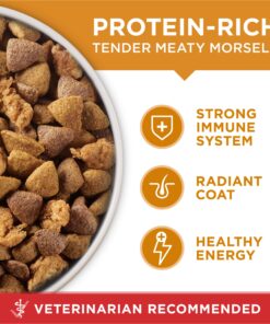 Purina ONE Chicken and Rice Formula Dry Dog Food - 8 lb. Bag Dry Food Chicken & Rice 8 Pound (Pack of 1) 27 81Ma2QvXyCL