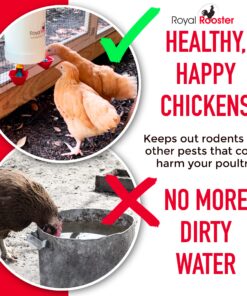 Royal Rooster 1 Gallon Automatic Twin Chicken Waterer with 2 Gravity-Feed Valve-Operated Drinking Cups - Indoor and Outdoor Coop Hanging Chicken, Duck and Poultry Water Dispensing System 18 81MfQXzBxiL