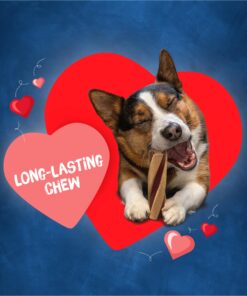 Alternative view of Purina Busy With Beggin' Made in USA Facilities Small/Medium Breed Dog Treats, Twist'd - 10 ct. Pouch Bacon