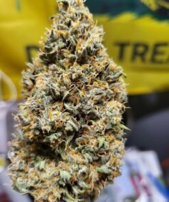 Bonsai Pruning Scissors 5 PCS, Small Pruner Shears, Bud Leaves Trimmer, Garden Shears for Plants, Gardening Clippers for Flower, Stainless Steel Bud and Bonsai Trimming Pruners Trimmers 23 81MlkuzuKIL