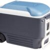Igloo Quart MaxCold Cooler, Blue/Navy, 40 Qt 21 81Mm9QldBEL