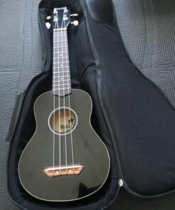 Hola! Heavy Duty SOPRANO (up to 21.5 Inch) Ukulele Gig Bag with 15mm Padding Black 50 81Mn4eB01JL