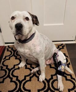 Alternative view of Medline Non-Sterile Tubular Stockinettes, 3" x 25 Yd, 1 Roll