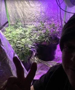 VIVOSUN S558 5x5 Grow Tent, 60"x60"x80" High Reflective Mylar with Observation Window and Floor Tray for Hydroponics Indoor Plant for VSF6450 60"x60"x80" Black 46 81MrpOzZeWL