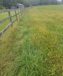 Greenworks Pro 80V Cordless Brushless String Trimmer + Leaf Blower Combo, 2Ah Battery and Charger Included STBA80L210 16" Trimmer + Blower (2.0Ah) 41 81MsKJmLxgL