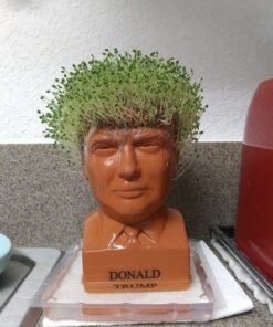 Chia Pet Donald Trump President with Seed Pack, (8" x 4.5" x 7.3") Decorative Pottery Planter, Easy to Do and Fun to Grow, Novelty Gift, Perfect for Any Occasion 33 81Msh9ta2L