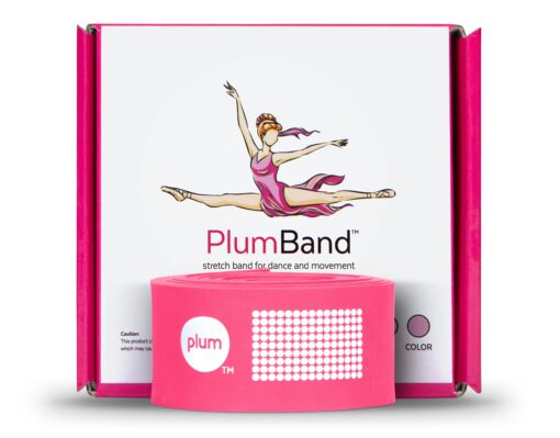 The PlumBand Stretch Band for Dance and Ballet – Colors and Sizes for Kids & Adults – Improve Your Splits, Strength, and Flexibility with Stretching – Printed Instruction Booklet and Travel Bag Rose Pink Small