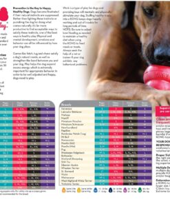 KONG - Puppy Toy Natural Teething Rubber - Fun to Chew, Chase and Fetch - for Small Puppies - Blue 36 81Mws7gYACL