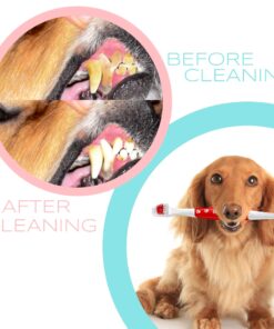 Pet Toothbrush for Dogs, Cats with Soft Bristles - Easy Teeth Cleaning & Dental Care, Non Slip Dual Head Dog Toothbrush - Choose Your Pack (Pack of 2) 2 Count (Pack of 1) 11 81MxErHNv L