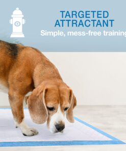 Four Paws Wee-Wee Superior Performance Pee Pads for Dogs - Dog & Puppy Pads for Potty Training - Dog Housebreaking & Puppy Supplies - 22" x 23" (150 Count),White 150 22 81MxwUZ 4L