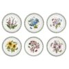 Portmeirion Botanic Garden Dinner Plate | Set of 6 Dinner Plates | Assorted Floral Motifs | Dishwasher, Microwave, & Oven Safe | 10.5 Inch | Made in England 34 81MyVvn vcL