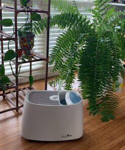 Honeywell Cool Moisture Humidifier, Medium Room, 1 Gallon Tank, White – Invisible Moisture Humidifier for Baby, Kids, Adult Bedrooms – Quiet and Easy to Clean with UV Technology for Everyday Comfort 35 81MyzS0IvVL