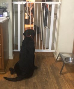 PetFusion Elevated Dog Bowls in Premium Anodized Aluminum Stand (Tall 8"). 2 US FOOD GRADE Stainless Steel 56oz bowls, Metallic Gray Tall - 8" 24 81N QVFKu L