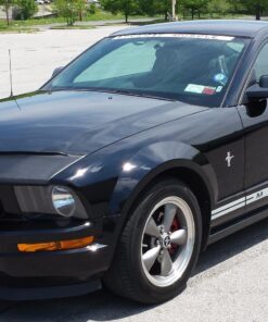 BestLine 853796001049 Premium Synthetic Engine Treatment for Gasoline Engines - 12 oz. 42 81N0XrR4 7L