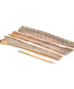 Best Bully Sticks 12 Inch Joint Jerky Gullet Dog Treats (12 Pack) - All-Natural Beef Dog Treats 12 Inch (12 Pack) 14 81N1NE8GdML