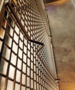 KITCHENATICS Half Sheet Cooling Rack for Cooking and Baking, Stainless Steel Baking Rack & Wire Rack, Bacon Grill Rack for Oven, Heavy-Duty Wire Cookie Cooling Rack fits Half Sheet Pan - 11.8 x 16.9 11.8" x 16.9" Half Sheet - 1 PC 30 81N9 EeSBdL