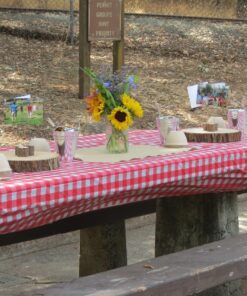 Red Gingham Plastic Tablecloth Roll With Cutter, 100' x 52" - Heavy Duty Party Table Cloth In Self Cutting Box - For Picnics, BBQs, and Birthday Parties - By Clearly Elegant Gingham Red 46 81NF1jbOEJL