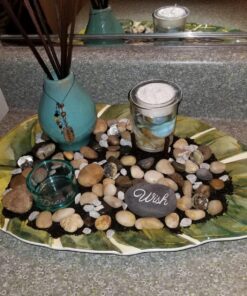 Seashell Gel Tealight Holder with palm wax 1 Count (Pack of 1) 30 81NITkmzTcL