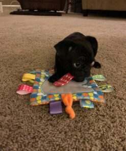 Taggies Crinkle Me Toy, Elephant 19 81NKl6kb85L