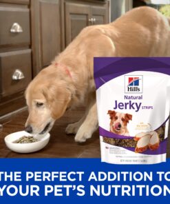 Hill's Natural Jerky Strips with Real Chicken Dog Treats, 7.1 oz. Bag 17 81NR8wJrBwL