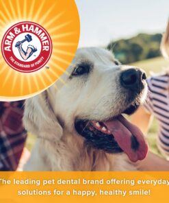 Arm & Hammer for Pets Tartar Control Enzymatic Toothpaste for Dogs | Reduces Plaque & Tartar Buildup | Safe for Puppies | Beef Flavor, 2.5 Ounces Dog Toothpaste Tartar Control - Beef 2.5 Ounce (Pack of 1) 28 81NRhCRo8L