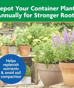 Miracle-Gro Moisture Control Potting Mix - Soil for Indoor & Outdoor Containers, Added Fertilizer Feeds Up to 6 Months, 8 qt. 8 qt. 31 81NRnYzDHXL 1