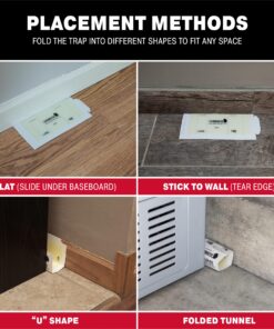 Catchmaster Mouse and Insect Glue Boards, 75-Pack Mouse Traps Indoor for Home, Sticky Pest Control Adhesive for Catching Bugs, Rats & Rodents, Non Toxic Bulk Glue Traps Standard 24 81NSD6ebhyL