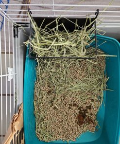 Oxbow Animal Health Western Timothy Hay - All Natural Hay for Rabbits, Guinea Pigs, Chinchillas, Hamsters & Gerbils -Veterinarian Recommended- Grown in the USA-90 oz. 5.62 Pound (Pack of 1) 29 81NVJvuBHL